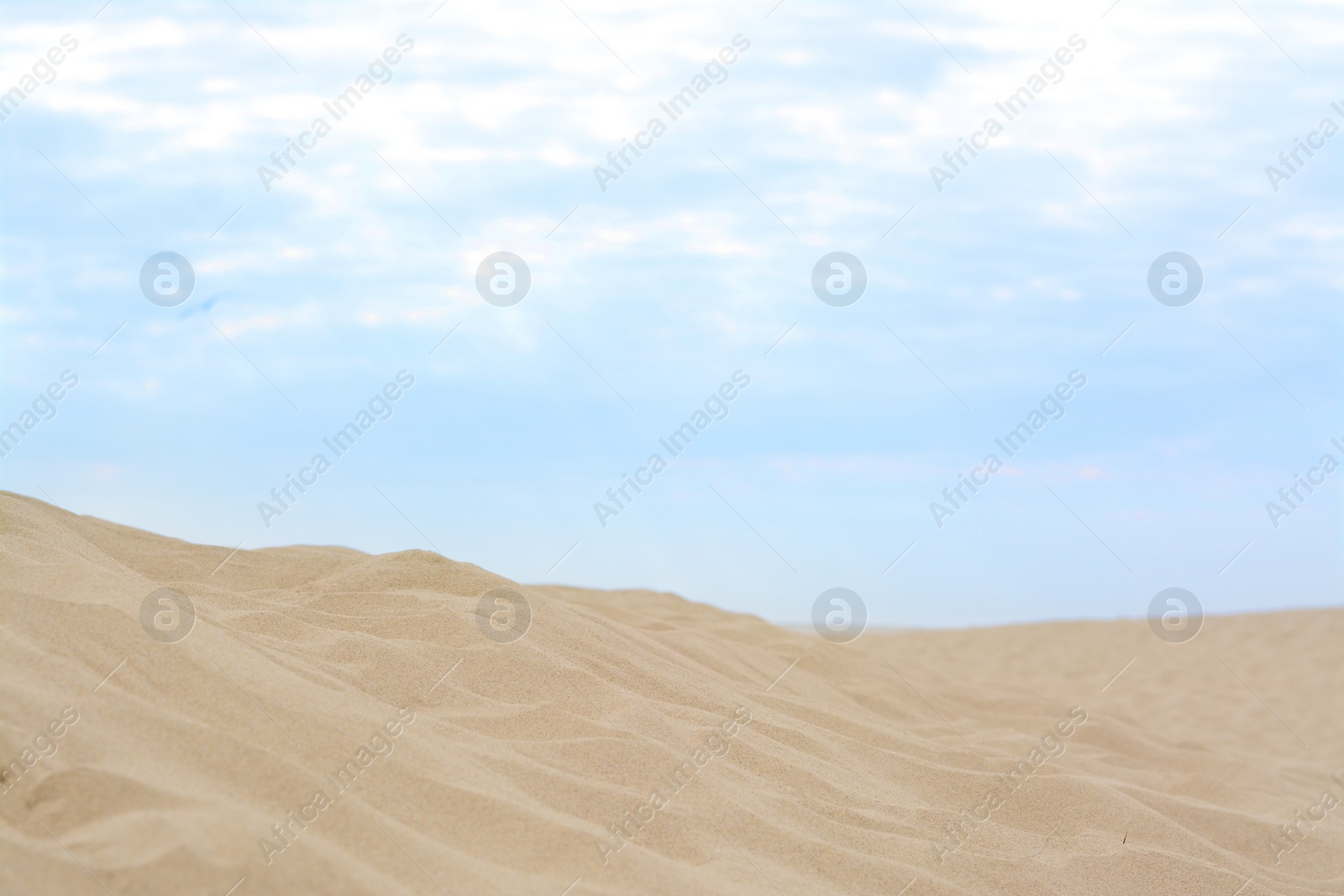 Photo of Beautiful view of sandy beach on summer day