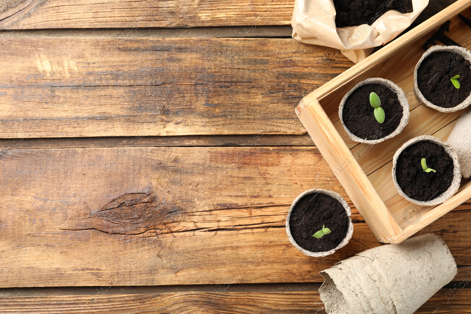 Photo of Young seedlings in peat pots on wooden table, flat lay. Space for text