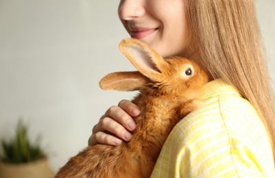 Photo of Young woman with adorable rabbit indoors, closeup. Lovely pet