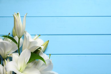 Beautiful white lily flowers on light blue wooden table, flat lay. Space for text