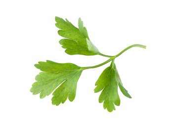 Photo of Aromatic fresh green parsley isolated on white