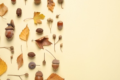 Flat lay composition with autumn leaves on beige background. Space for text