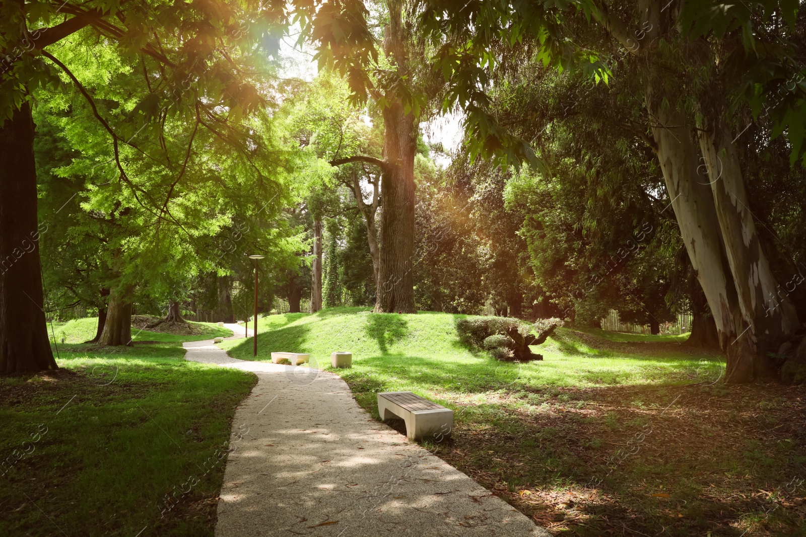 Photo of Picturesque view of tranquil park with paved pathway and benches