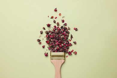 Photo of Creative flat lay composition with paint brush and dried rose buds on light green background