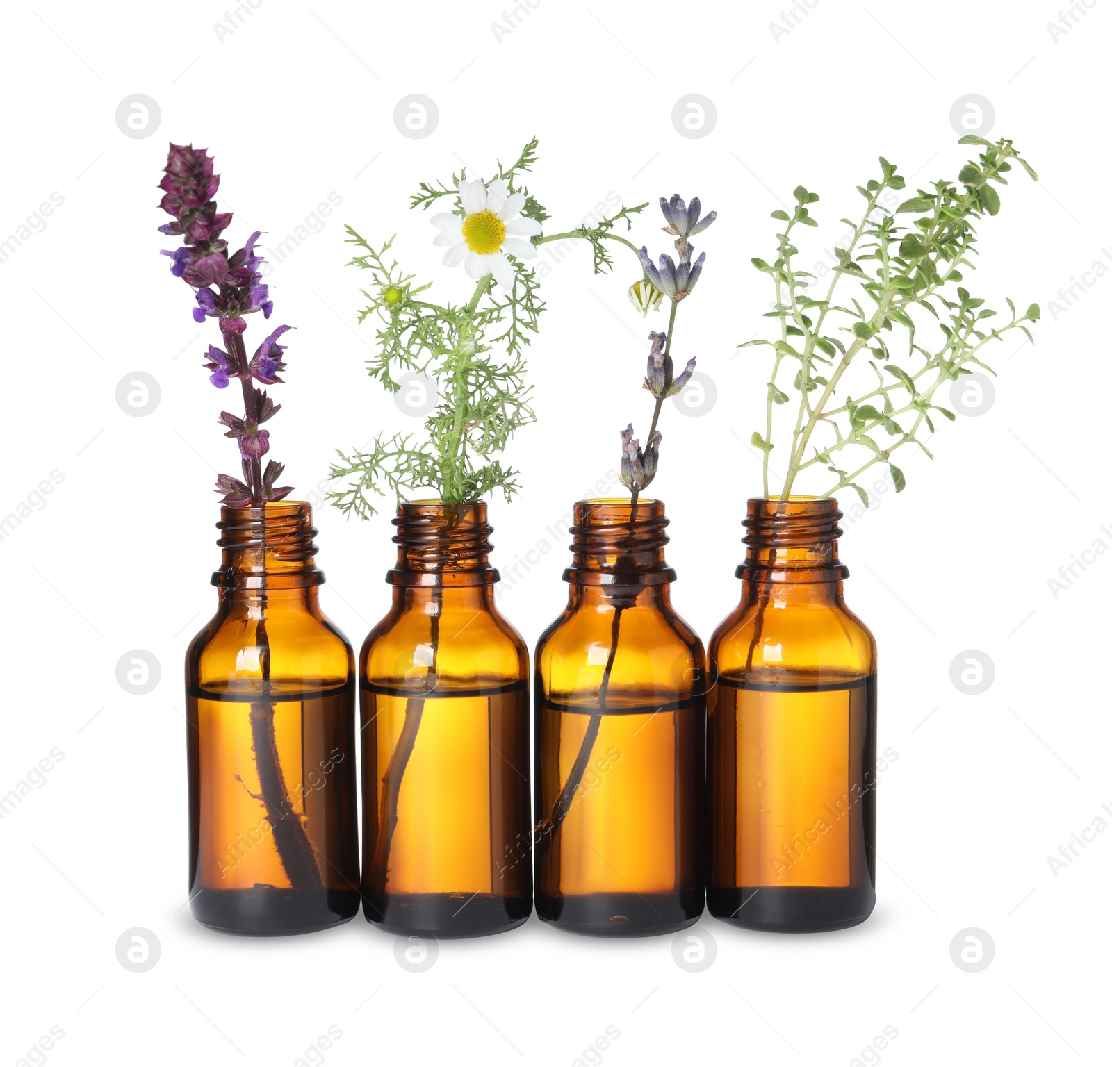 Photo of Many bottles with essential oils and plants isolated on white