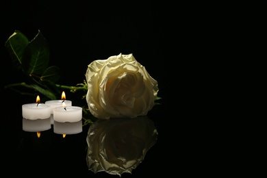 Photo of Beautiful white rose and candles on black background. Funeral symbol