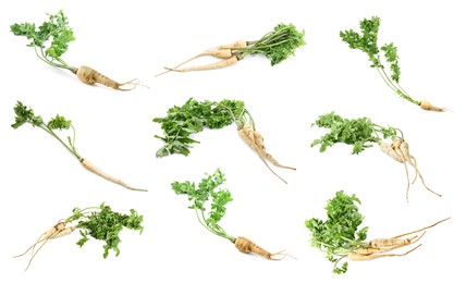 Image of Collage with fresh parsnips on white background