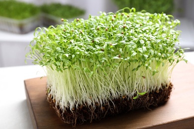 Fresh organic microgreen on white table, closeup