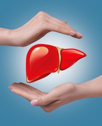 Woman holding hands around illustration of liver on light blue background, closeup