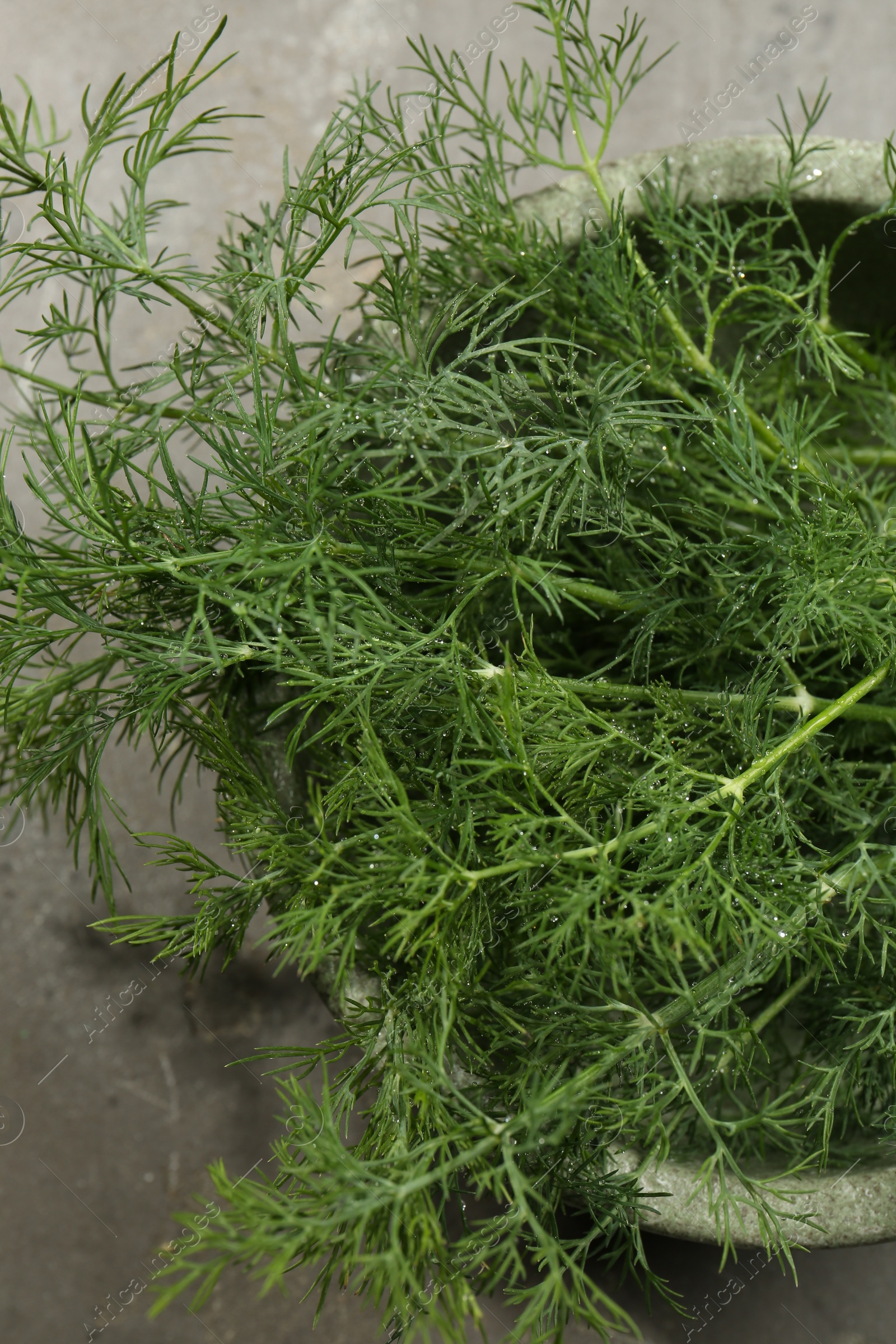Photo of Fresh green dill in bowl on grey table, top view