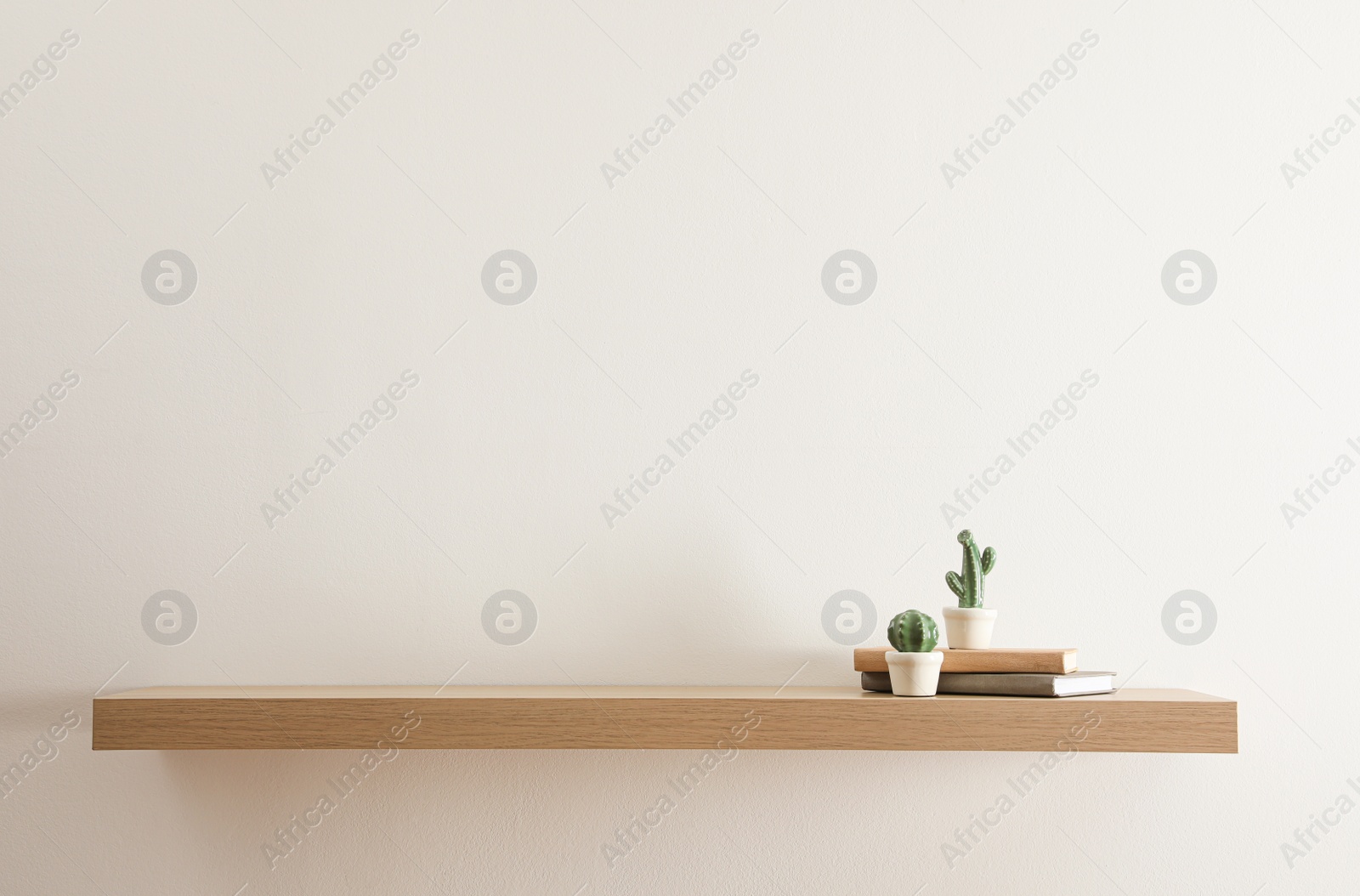 Photo of Wooden shelf with books and decorative cactuses on light wall