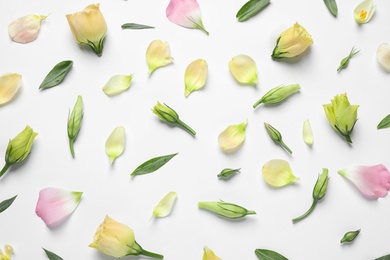 Flat lay composition with beautiful Eustoma flowers on light background