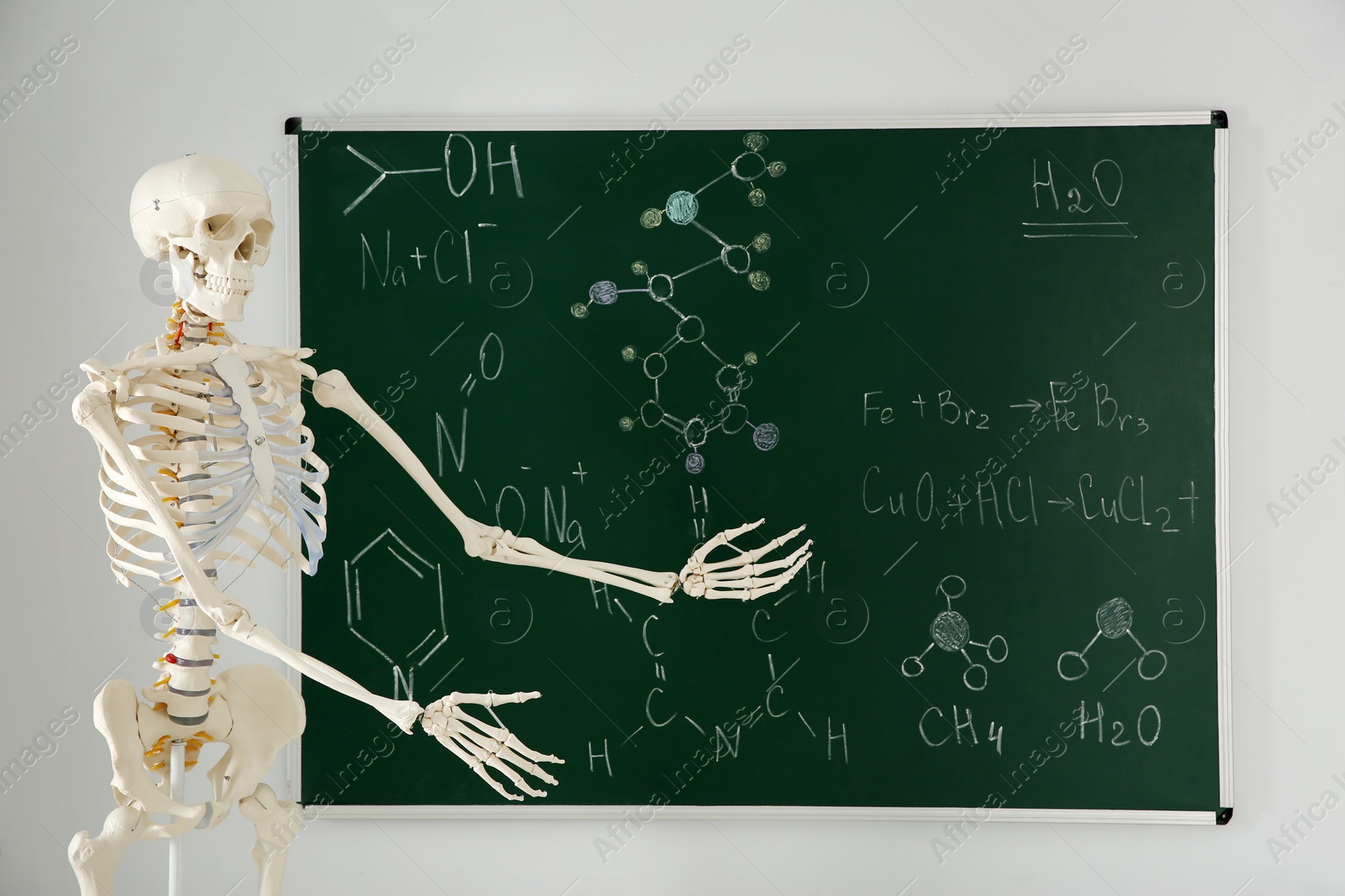 Photo of Human skeleton model near chalkboard in classroom