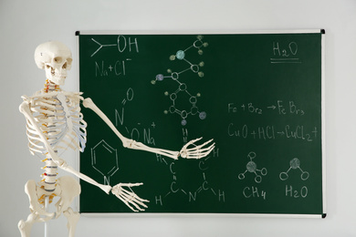 Photo of Human skeleton model near chalkboard in classroom