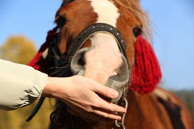 Woman feeding horse outdoors on sunny day, closeup. Beautiful pet