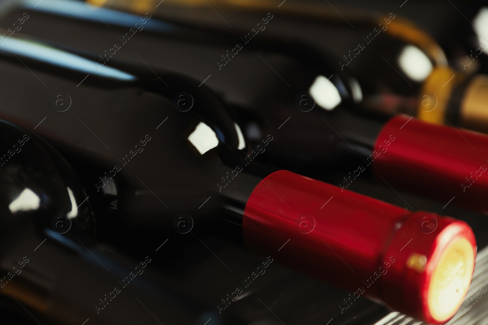 Photo of Bottles with delicious wine on shelf, closeup. Professional sommelier