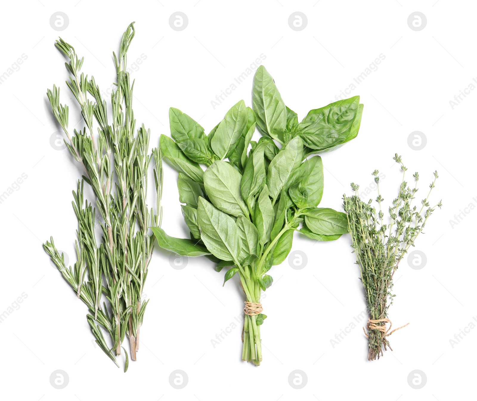 Photo of Rosemary, basil and thyme on white background, top view. Aromatic herbs