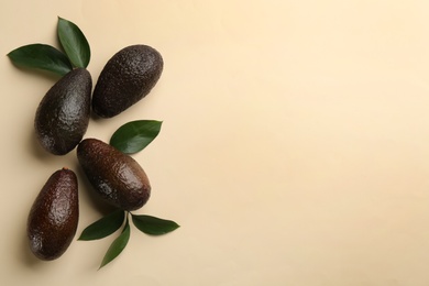 Whole ripe avocadoes and green leaves on beige background, flat lay. Space for text