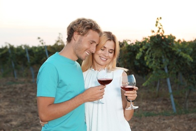 Photo of Young romantic couple holding glasses of wine at vineyard