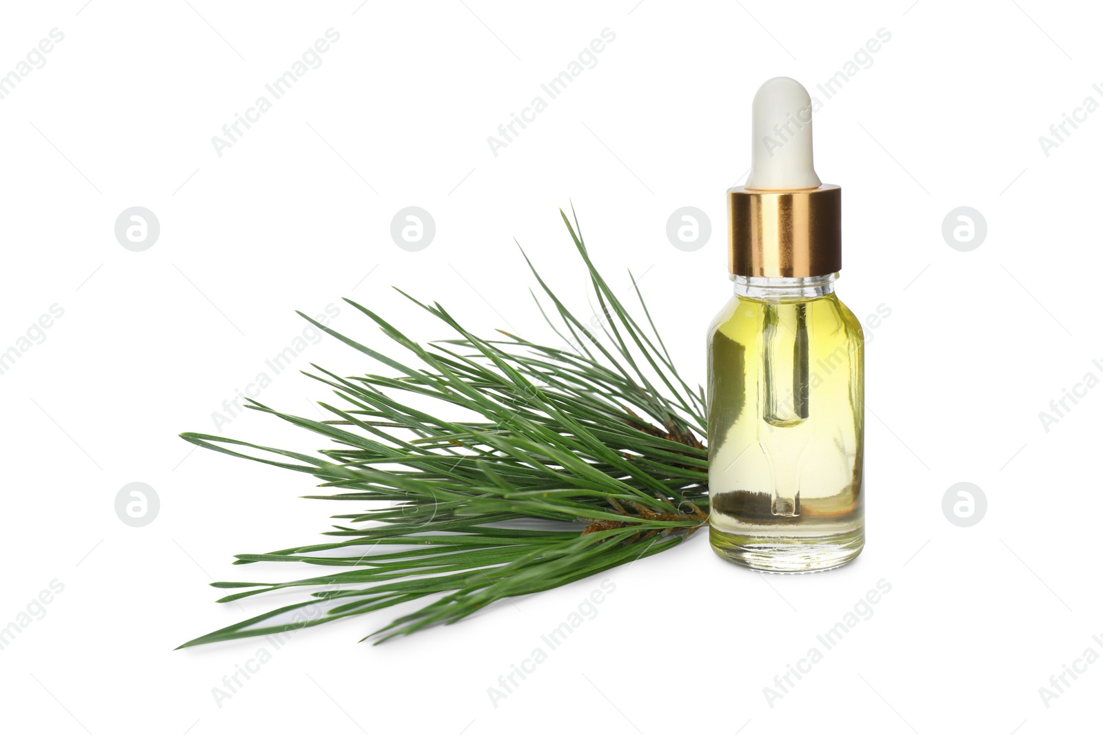 Photo of Glass bottle of essential oil and pine branch on white background