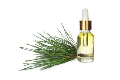 Photo of Glass bottle of essential oil and pine branch on white background