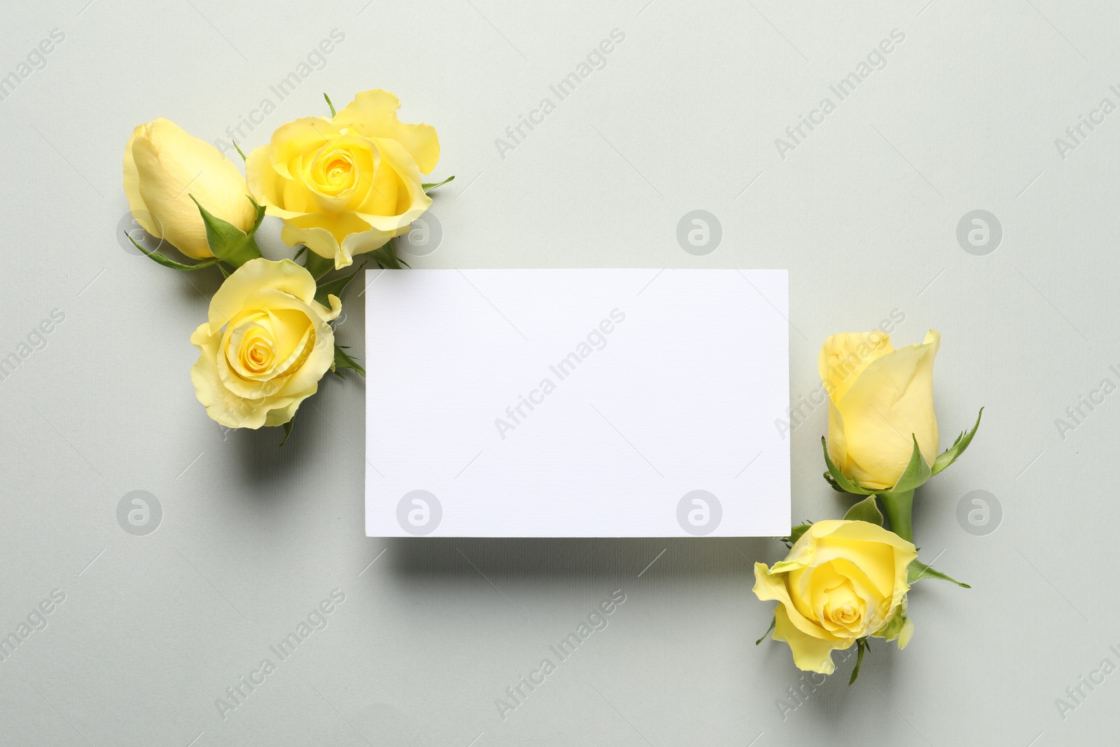 Photo of Beautiful yellow roses and blank card on light grey background, flat lay. Space for text