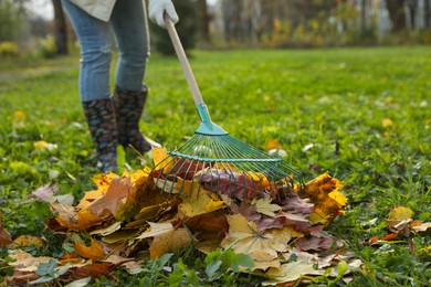 Photo of Woman raking fall leaves in park, closeup. Space for text