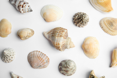 Photo of Different beautiful sea shells on white background, top view