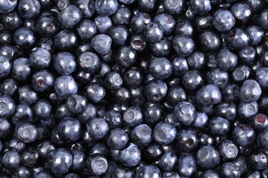 Photo of Many delicious ripe bilberries as background, top view