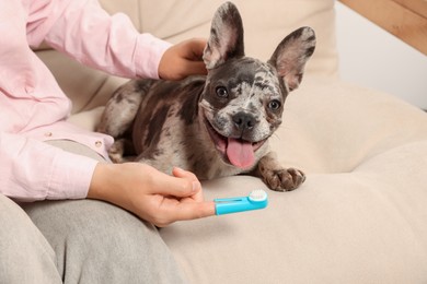 Photo of Woman with finger toothbrush near dog on sofa at home, closeup