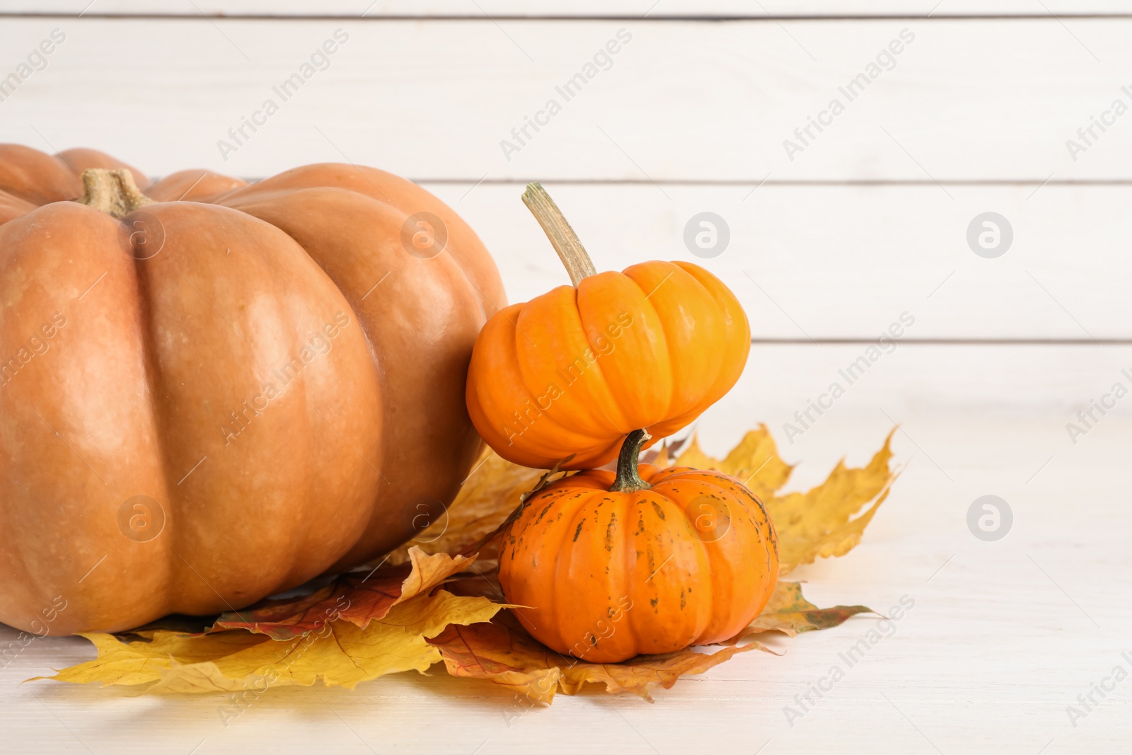 Photo of Fresh ripe pumpkins and dry leaves on white table