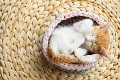 Photo of Cute little red kitten sleeping in knitted basket on wicker mat, above view