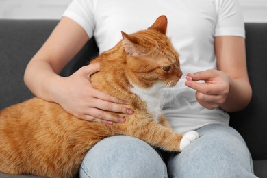 Photo of Woman giving vitamin pill to cute cat on couch indoors, closeup