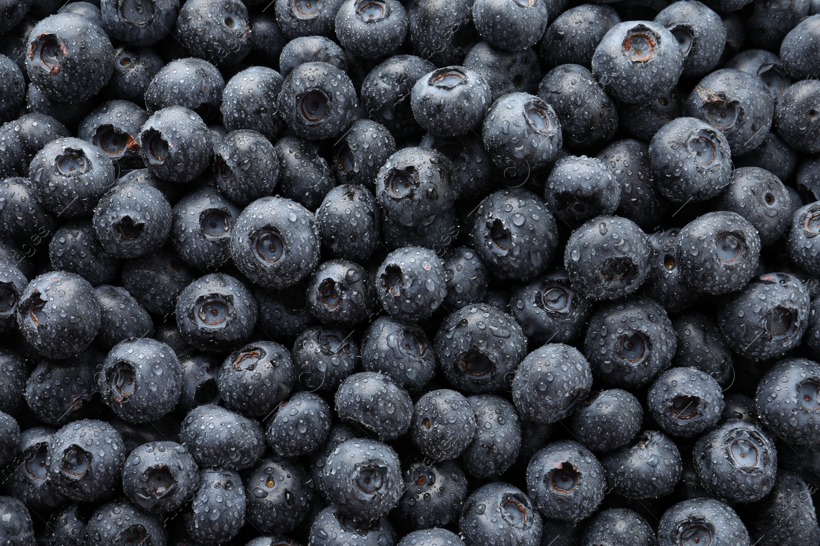 Photo of Wet fresh blueberries as background, top view