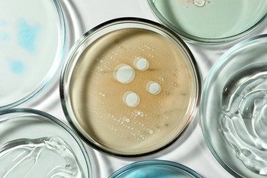 Photo of Petri dishes with liquids on white table, flat lay