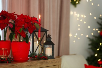 Photo of Potted poinsettias, burning candles and festive decor on dresser in room, space for text. Christmas traditional flower