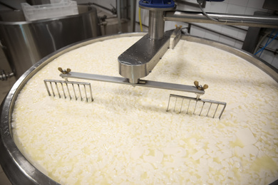 Photo of Curd and whey in tank at cheese factory