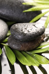 Photo of Wet spa stones and palm leaves in water on light background, closeup