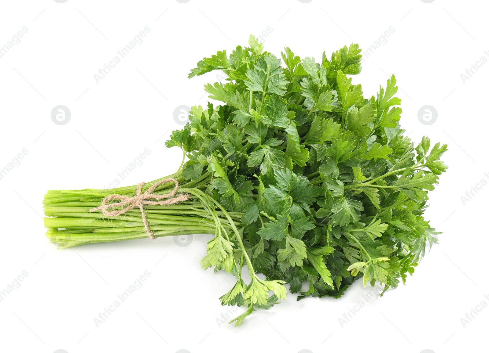 Photo of Bunch of fresh parsley isolated on white