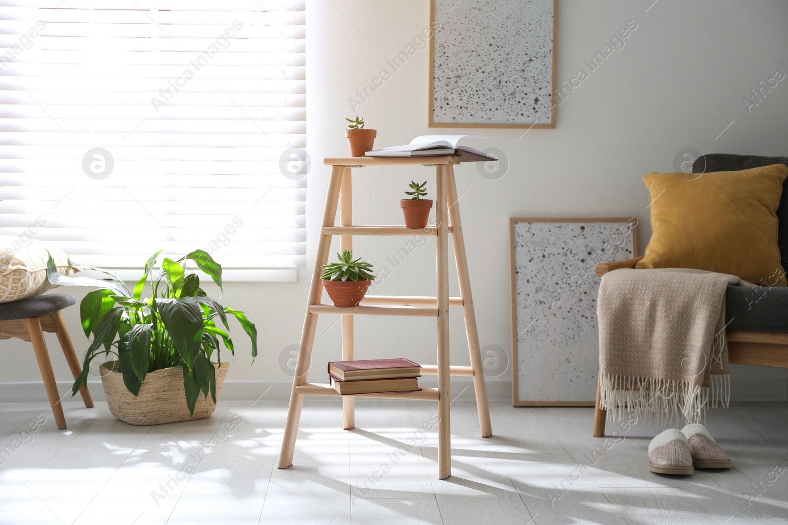 Photo of Decorative ladder with beautiful houseplants in stylish living room. Idea for interior design