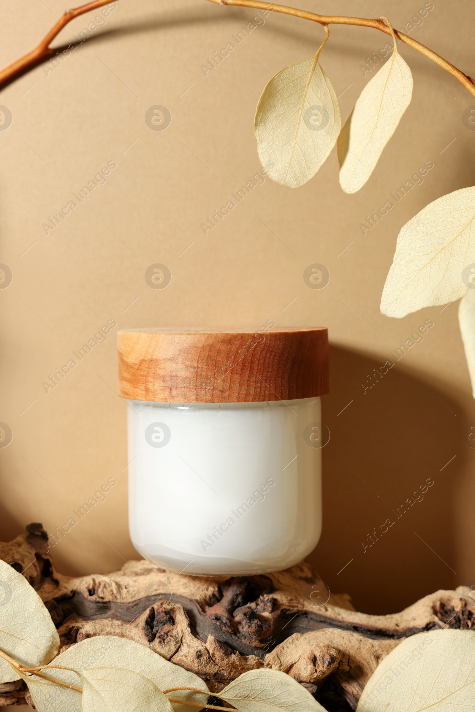 Photo of Jar of luxury cream and dried leaves on dark beige background