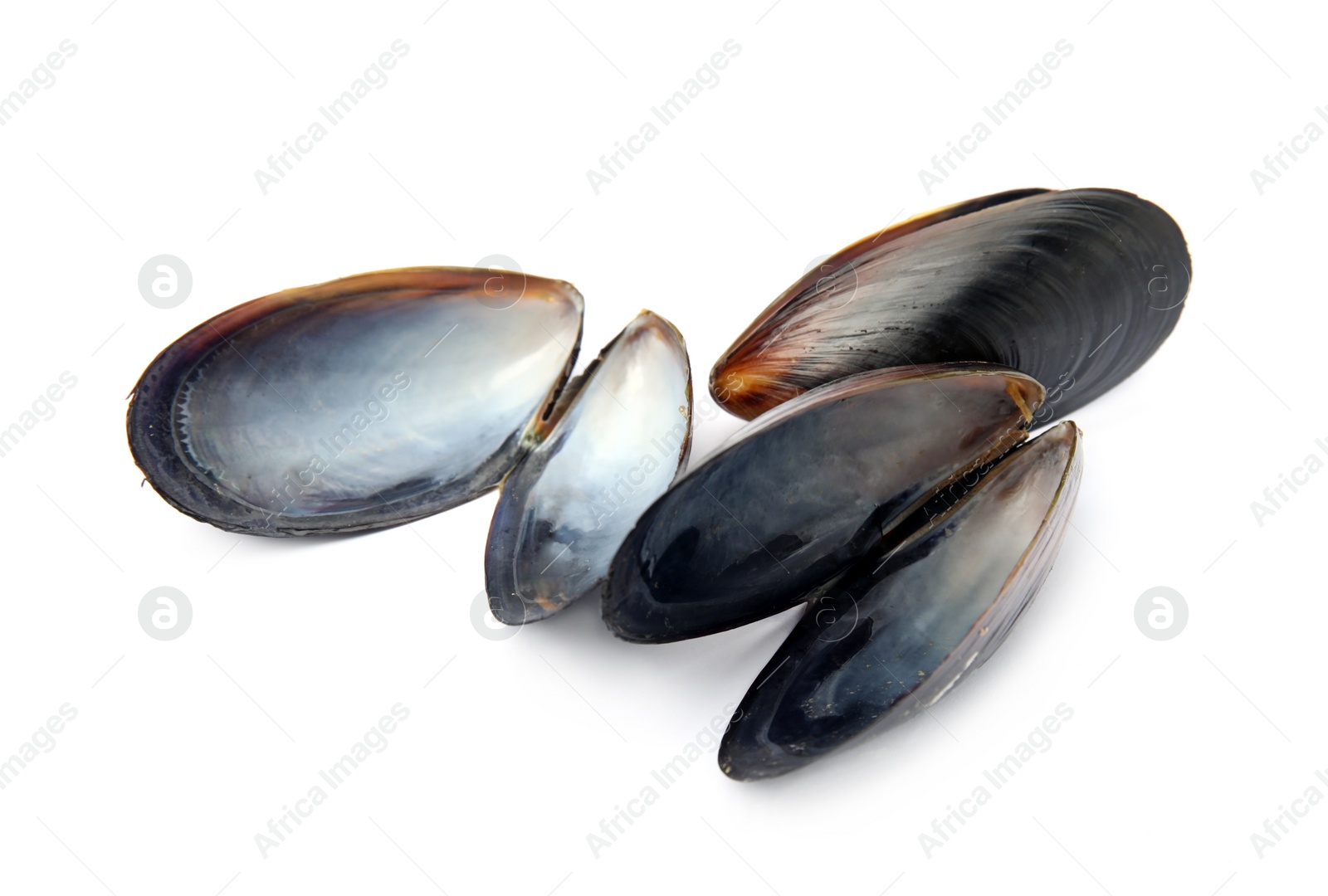 Photo of Open empty mussel shells on white background