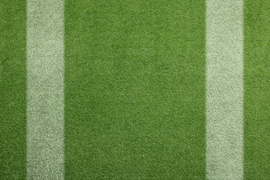 Image of Green grass with white markings, top view