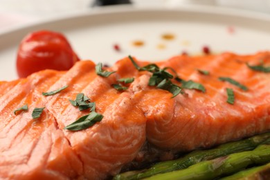 Photo of Tasty grilled salmon with tomato and spices on plate, closeup