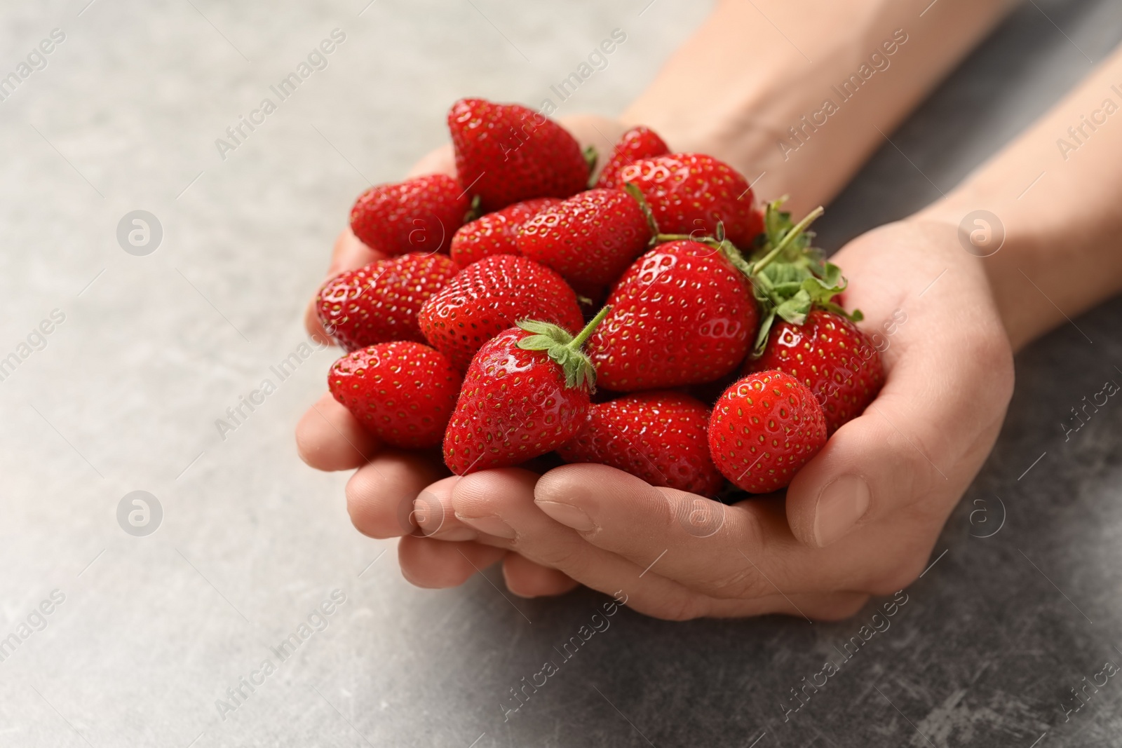 Photo of Young woman holding fresh ripe strawberries on grey background, closeup