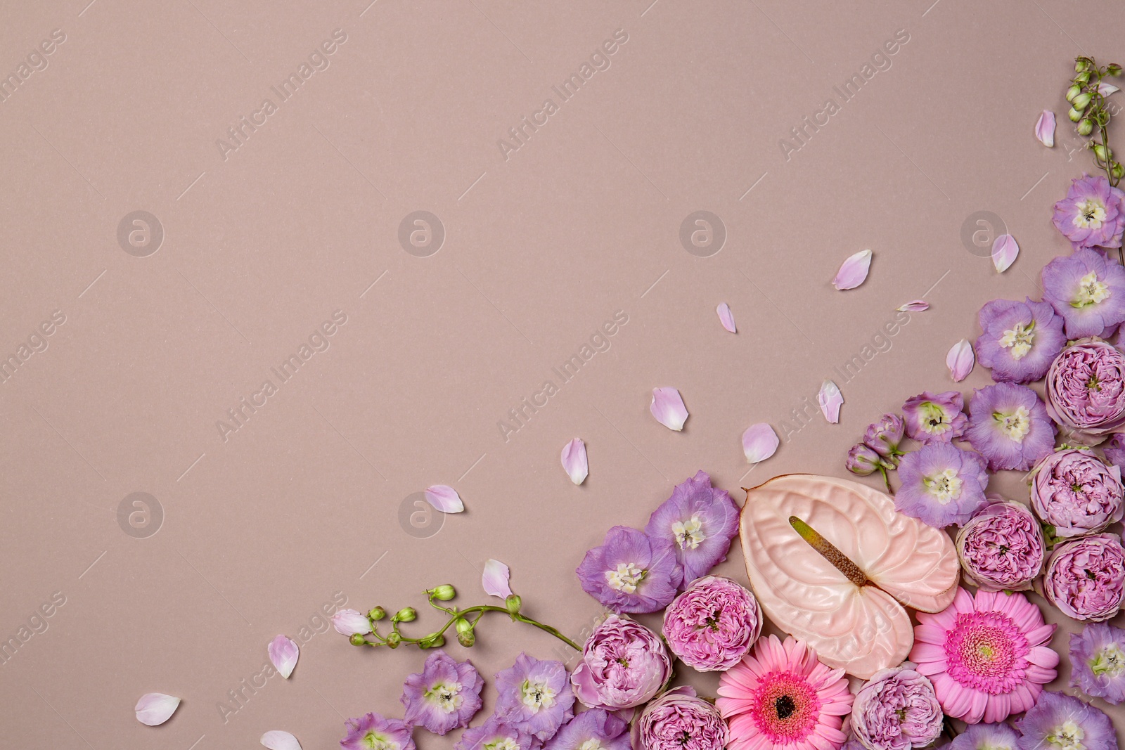 Photo of Flat lay composition with different beautiful flowers on beige background, space for text