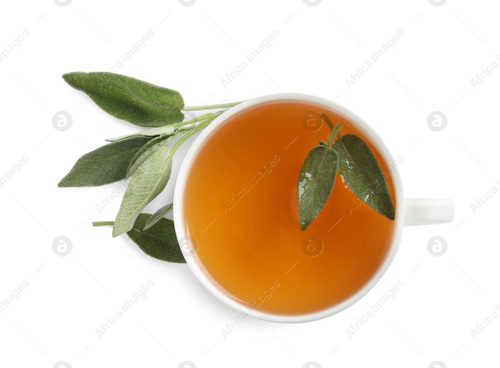 Photo of Cup of aromatic sage tea and fresh leaves on white background, top view