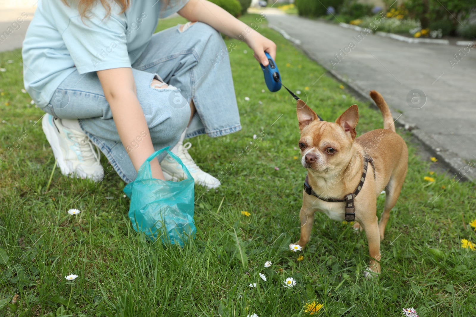 Photo of Woman picking up her dog's poop from green grass in park, closeup