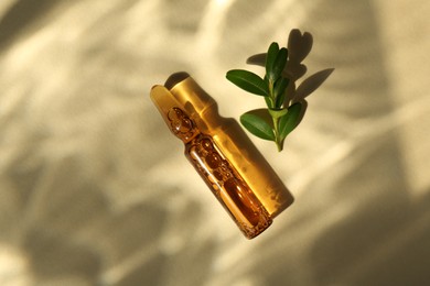 Skincare ampoule and leaves in sunlight on beige background, top view