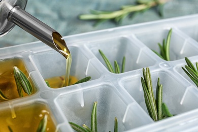 Photo of Pouring olive oil into ice cube tray with rosemary on table, closeup